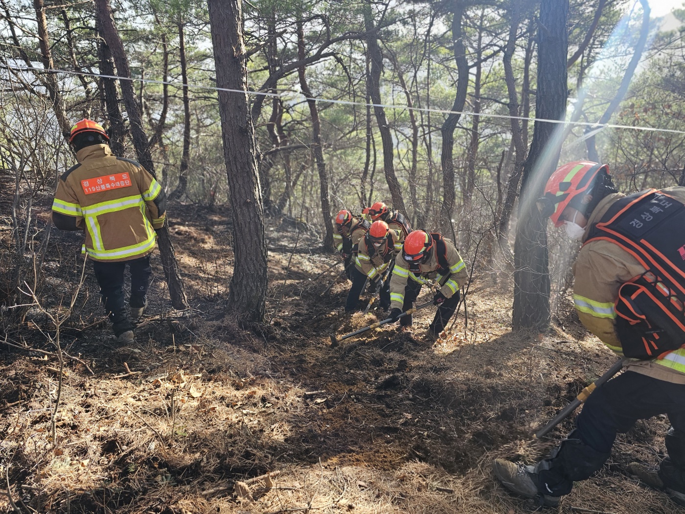 사진 제공 경북소방본부