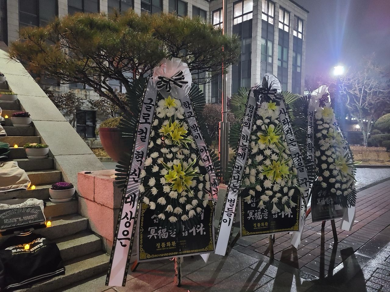 사진 경북대 재학생 제공