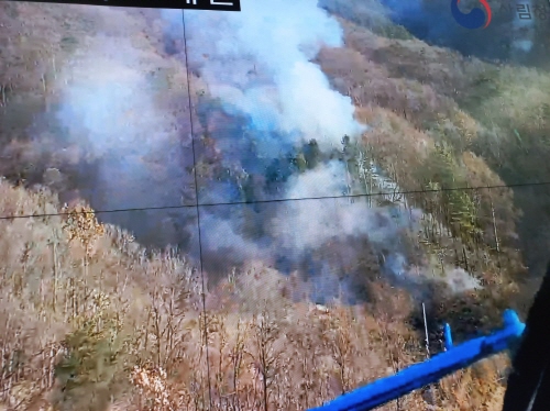 사진제공 산림청