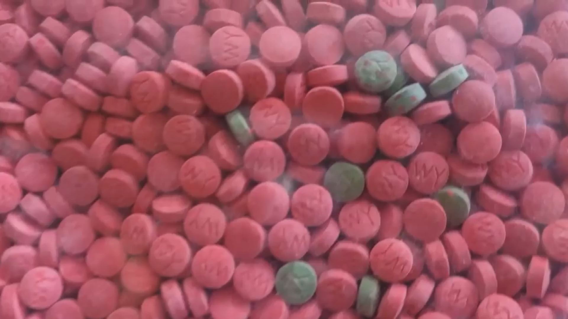 사진 제공 경북경찰청