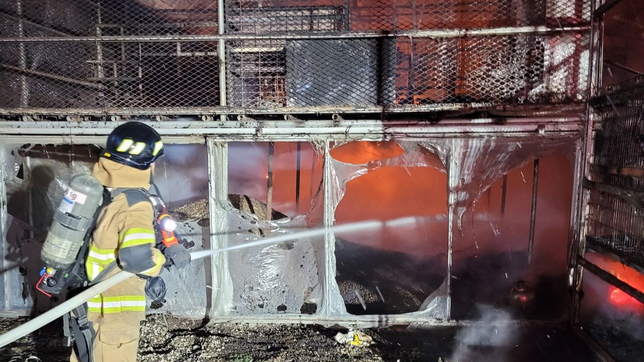 사진 제공 경북소방본부