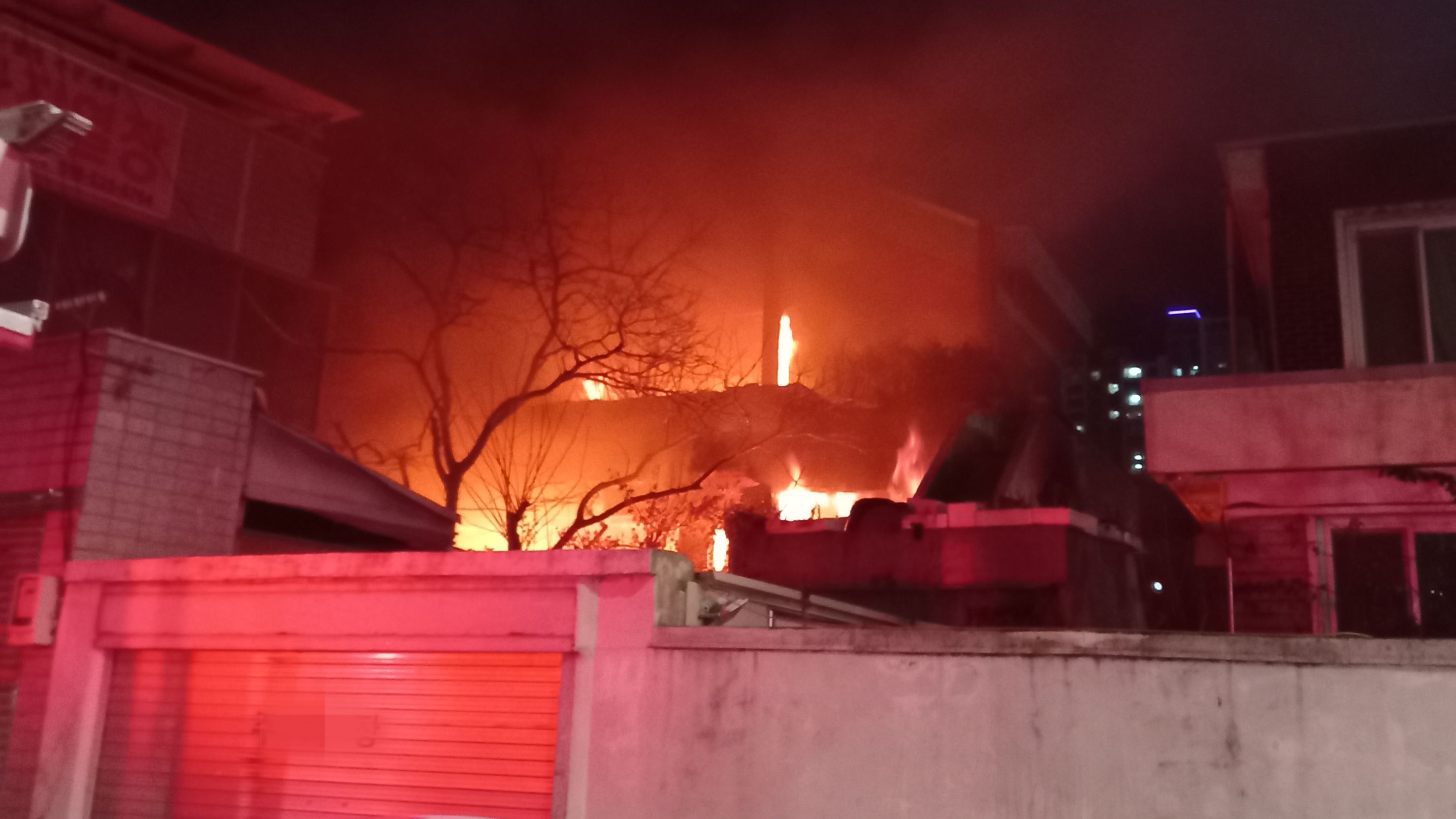 사진 제공 대구소방본부