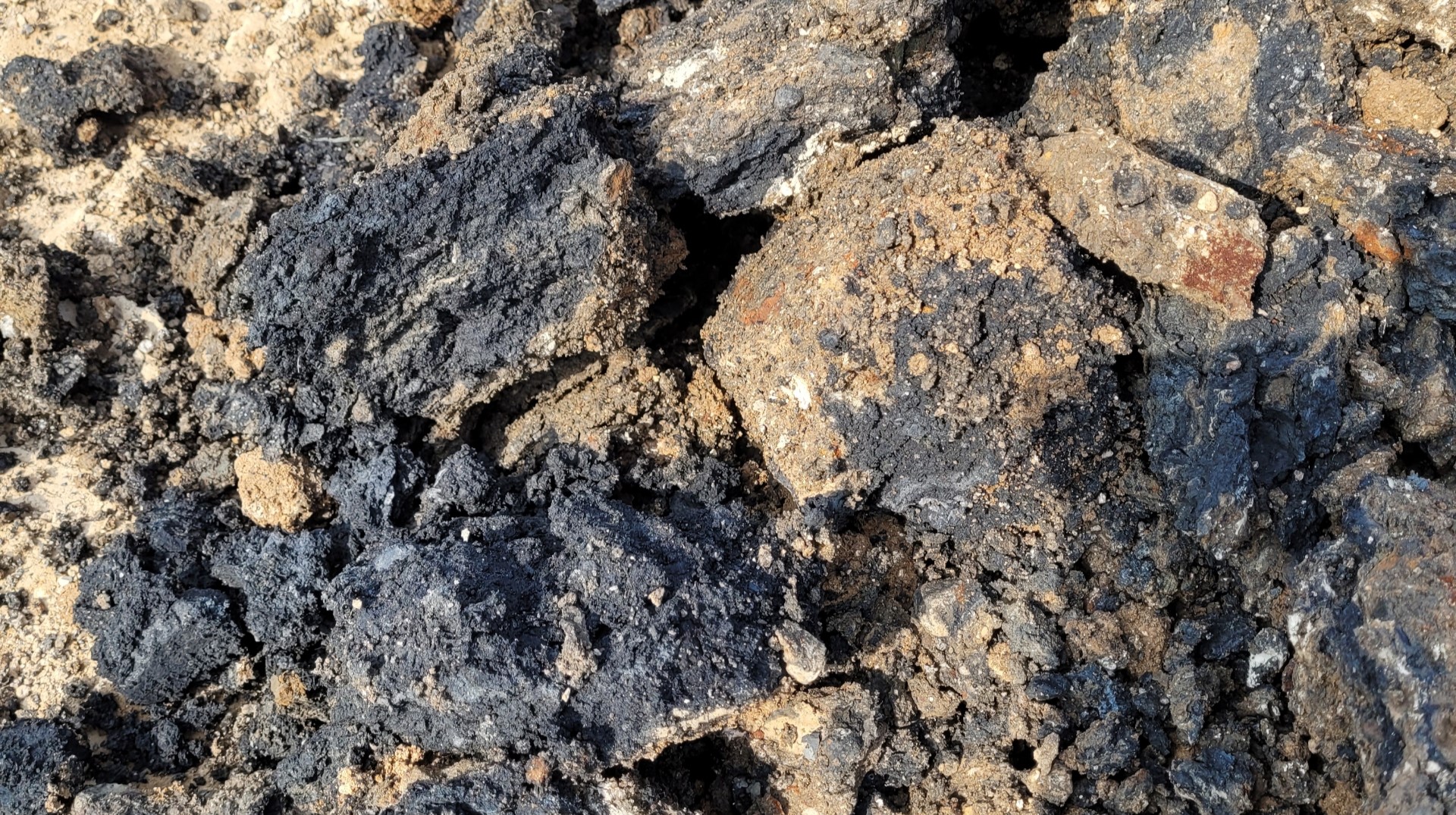 사진 제공 대구경찰청