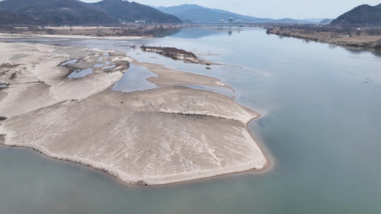 사진 제공 대구환경운동연합