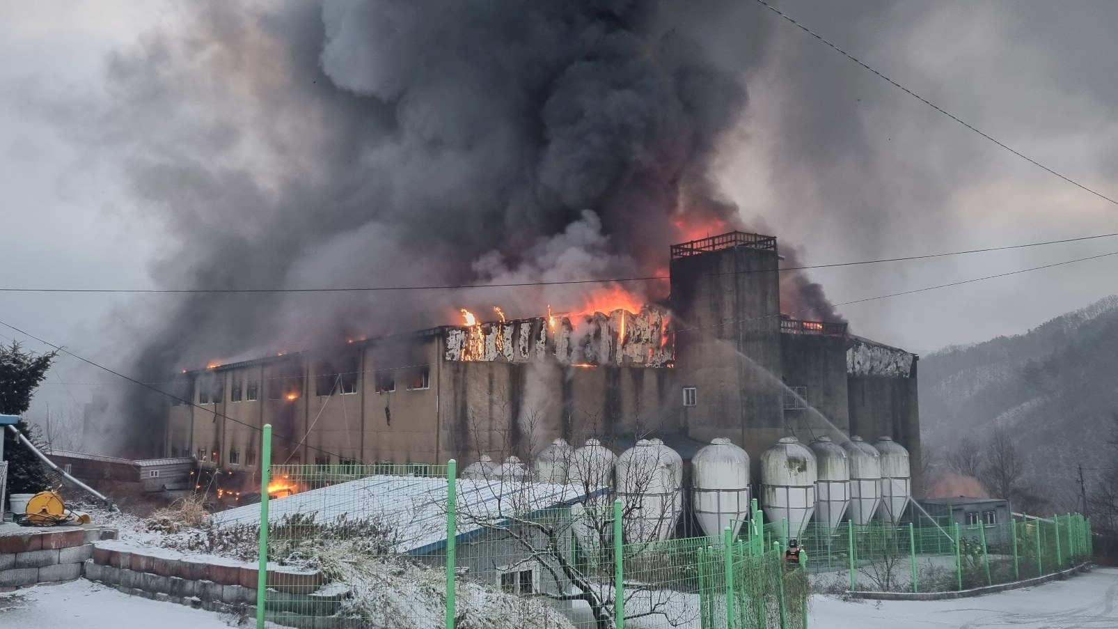 사진 제공 경북소방본부