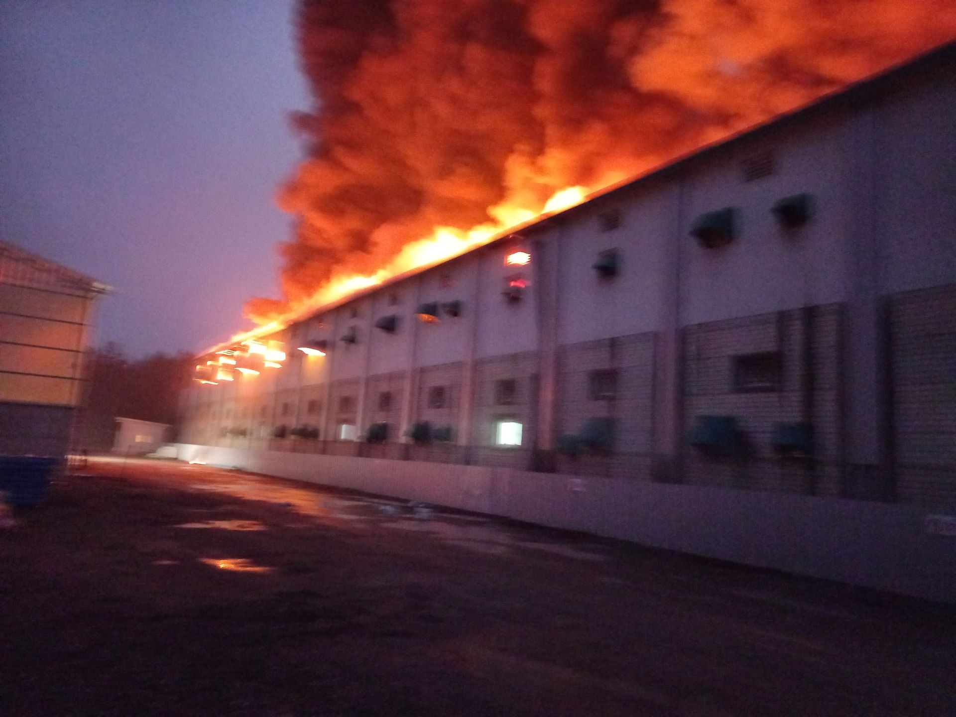 사진 제공 경북소방본부