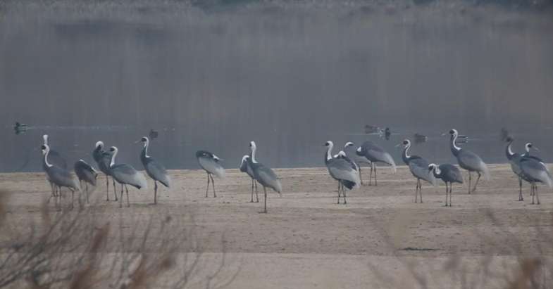 사진 제공 대구환경운동연합