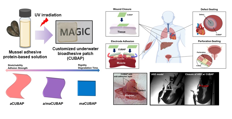사진 제공 포스텍
