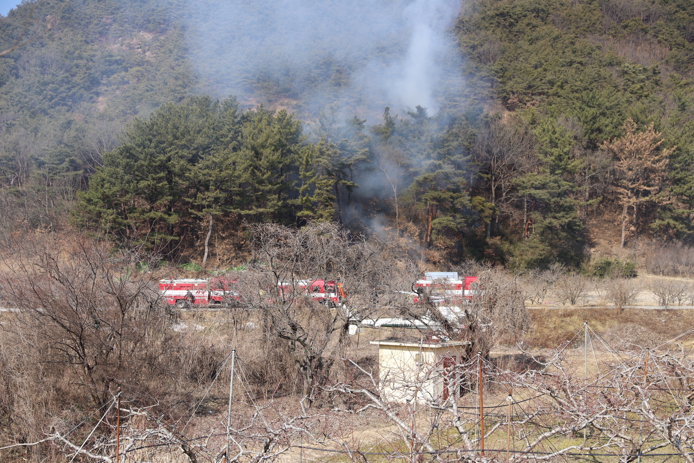 사진 제공 청도소방서