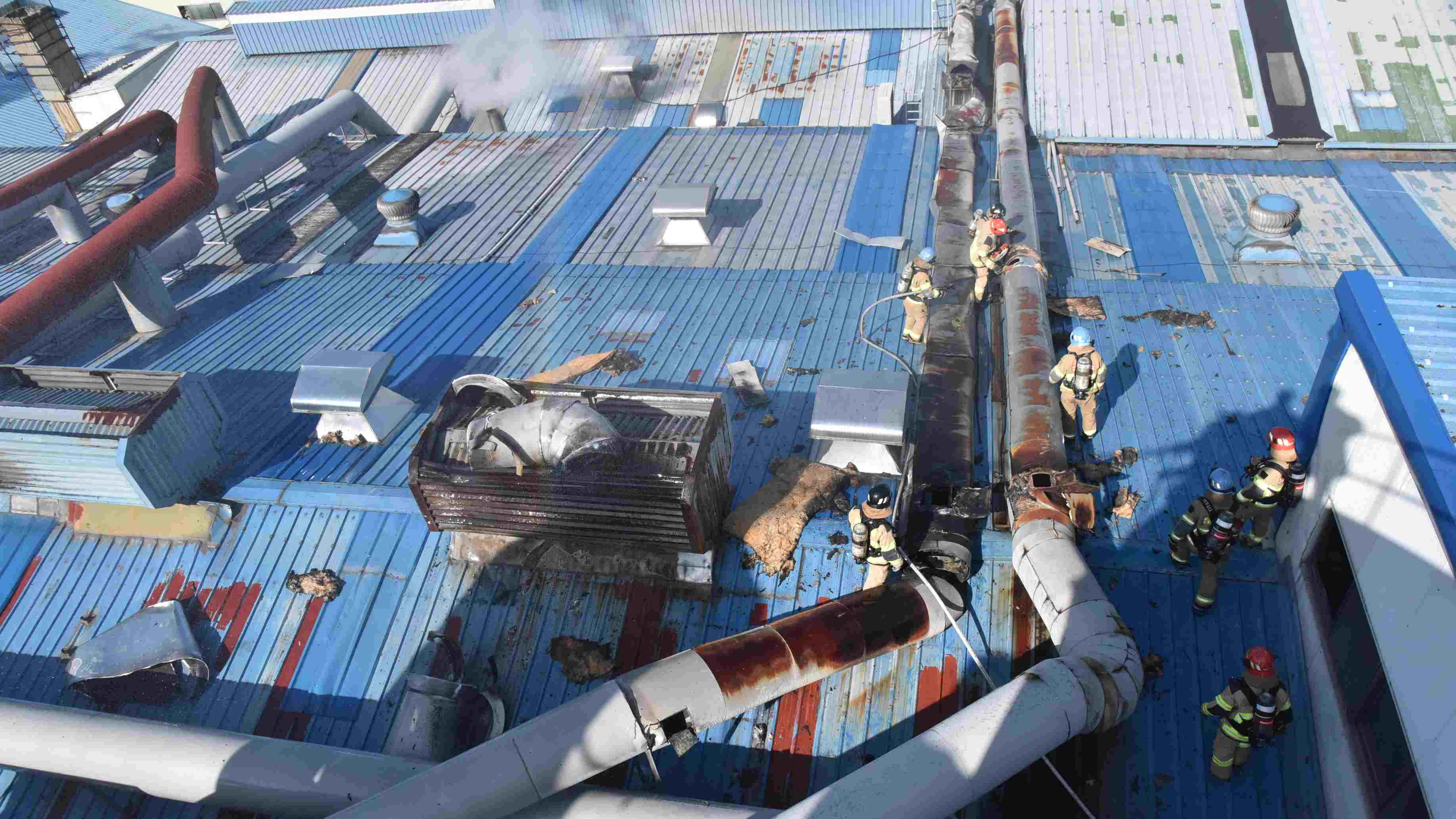 사진 제공 대구소방본부