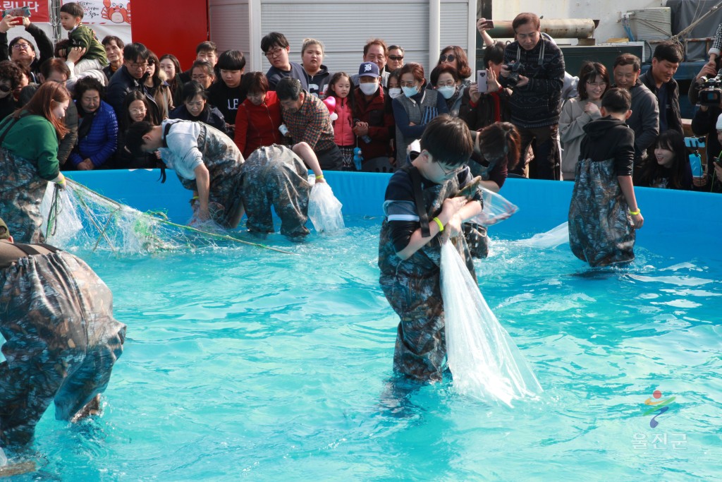 사진 제공 울진군