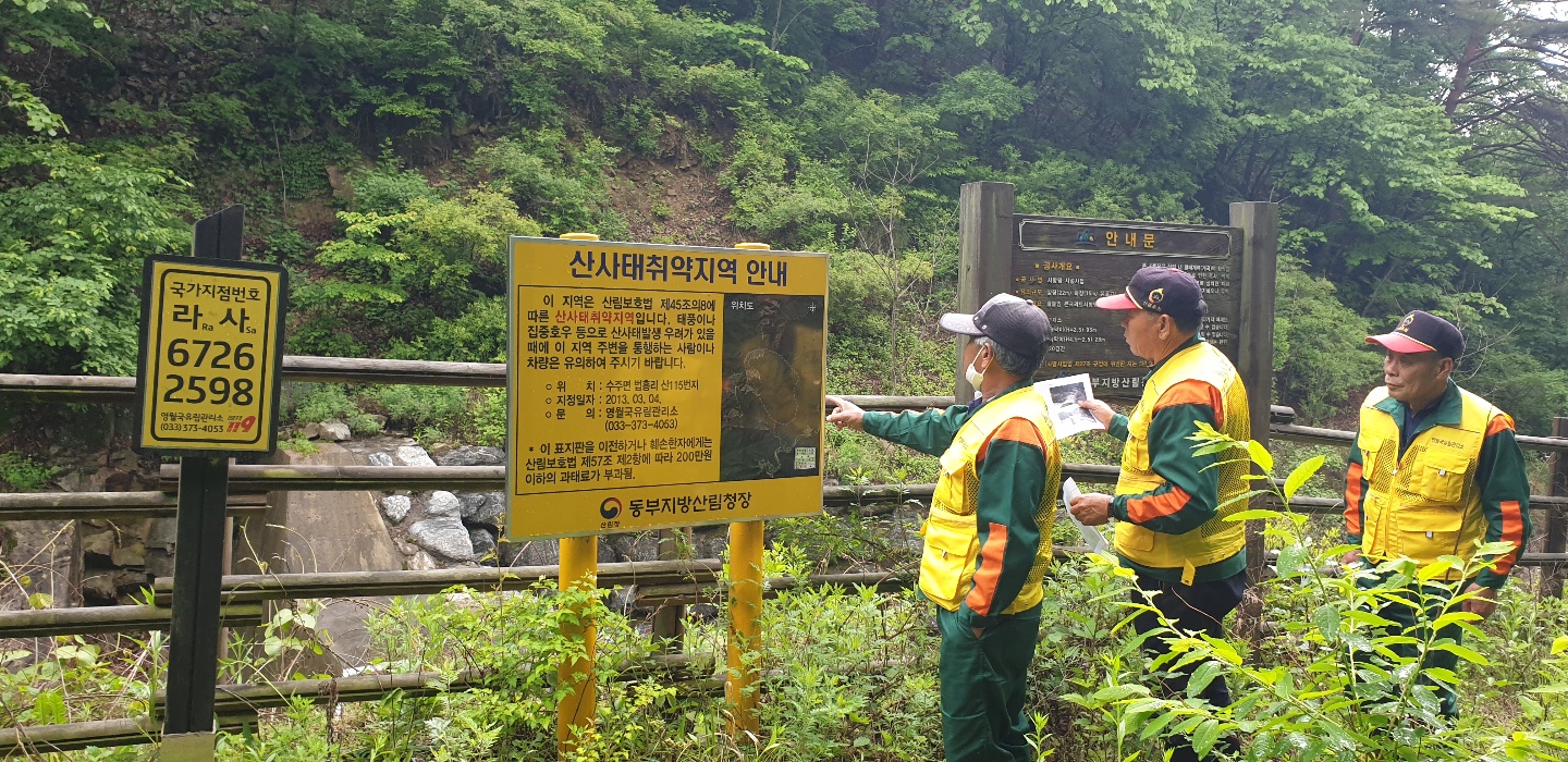 사진 제공 산림청