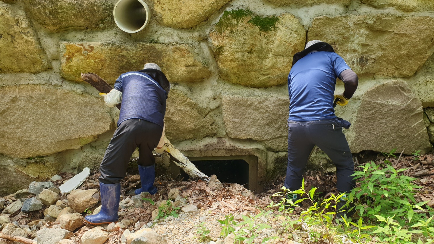사진 제공 산림청