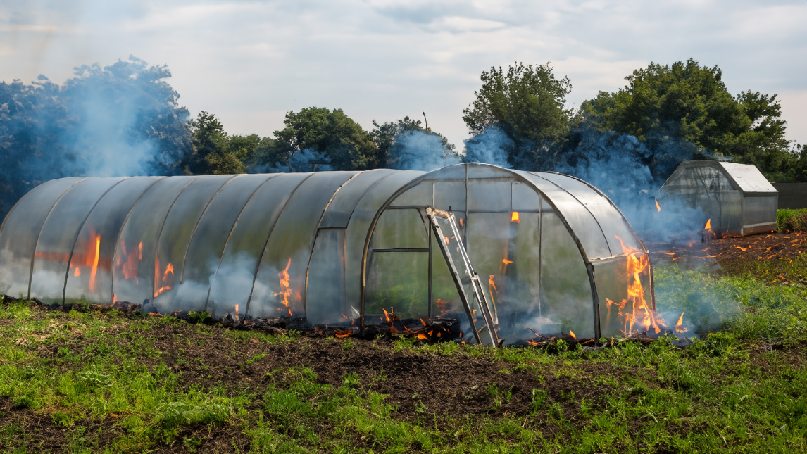 실제 피해 현장과 관련없는 사진