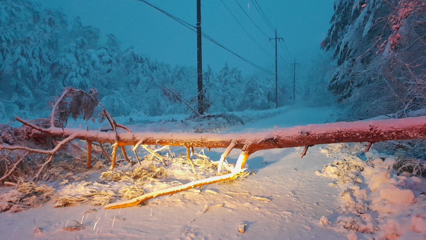 사진 제공 경북소방본부