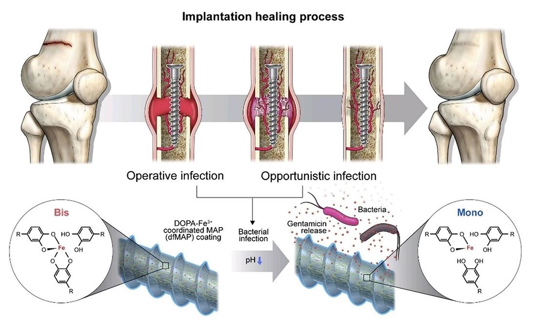 사진 제공 포항공과대학교