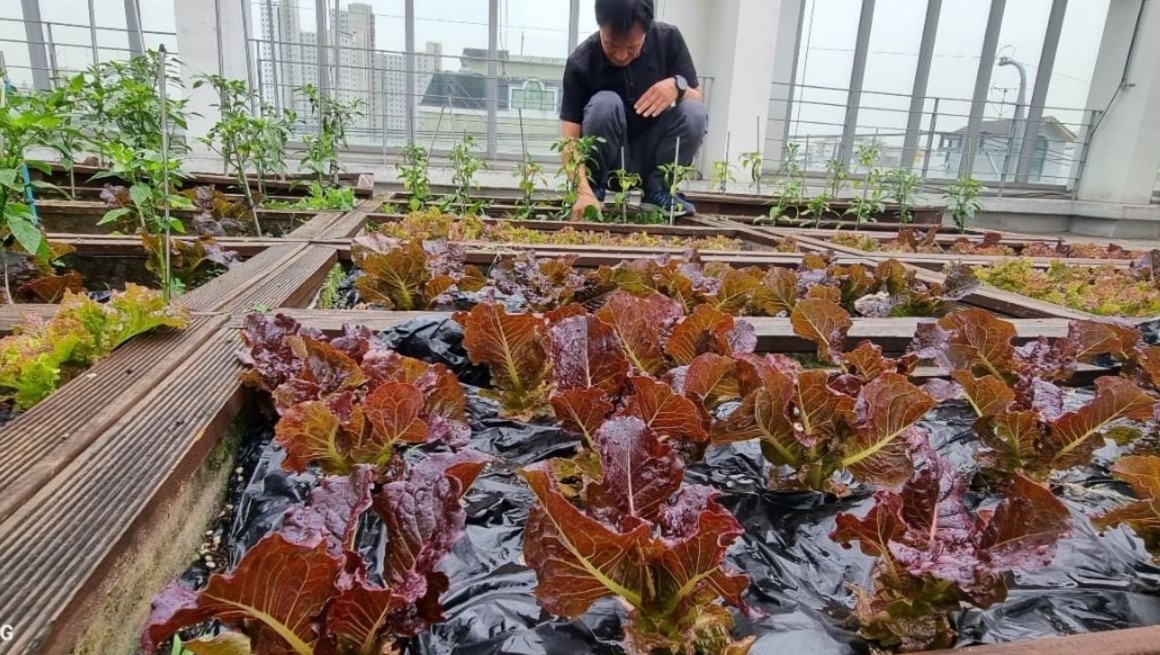 사진 제공 대구 중구
