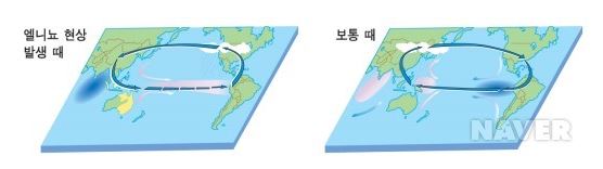 사진 네이버 지식백과