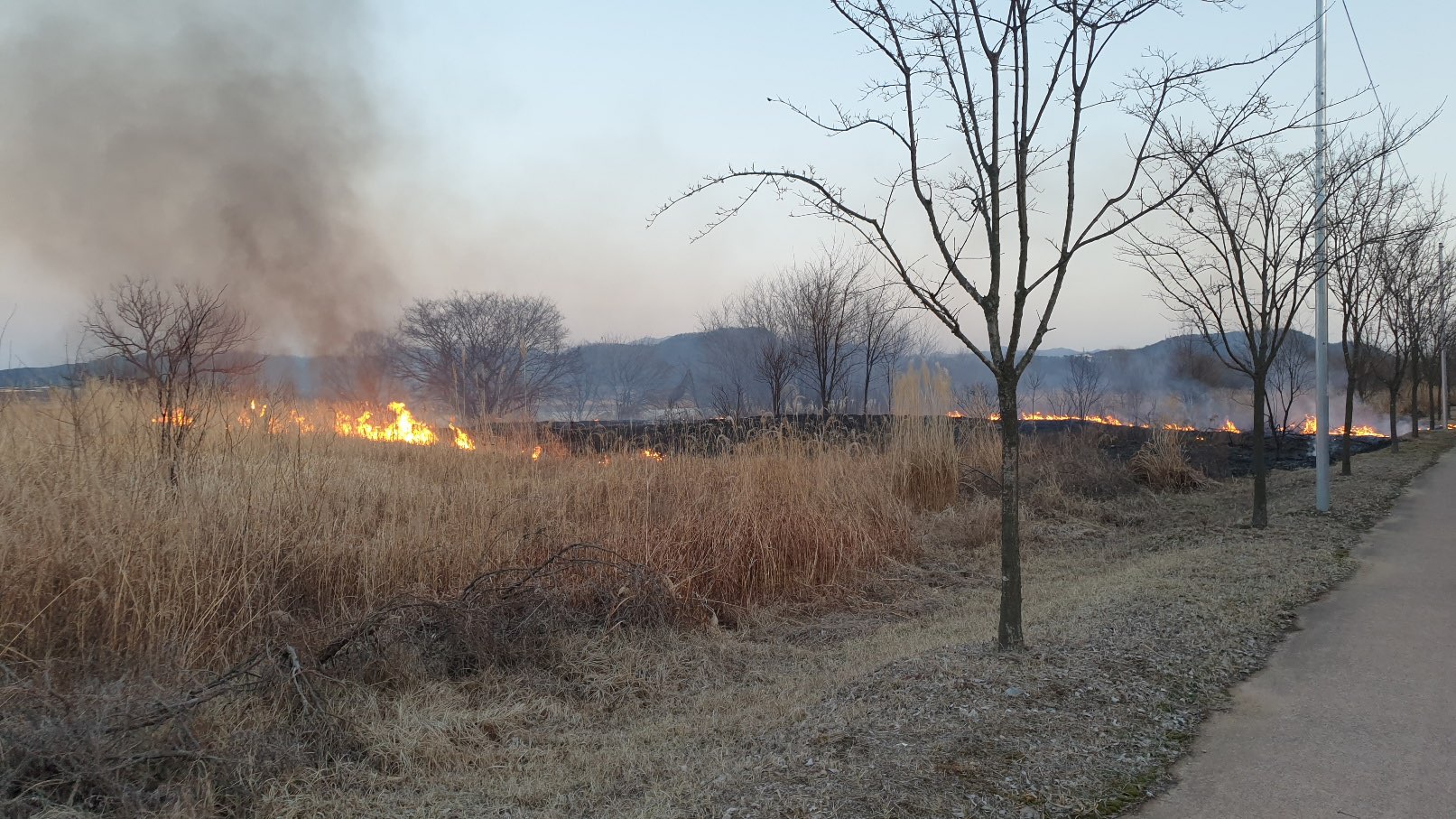 사진 제공 경북 구미소방서