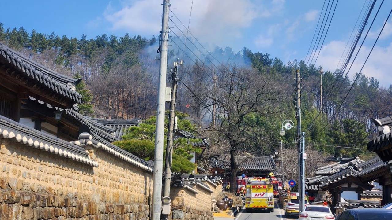 사진 제공 산림청
