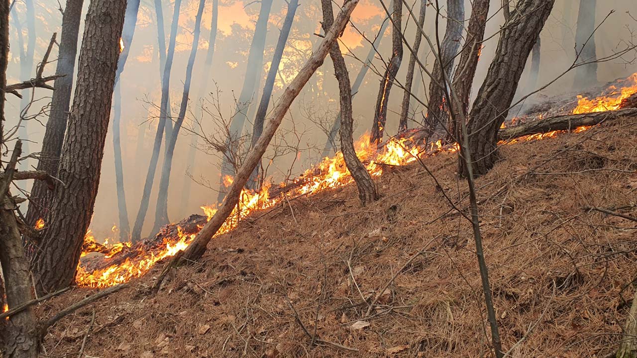 사진 제공 대구소방본부