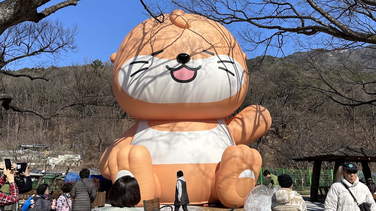 사진 제공 대구 달서구