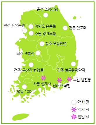 벚꽃 개화 현황 (사진 기상청)