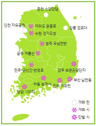 벚꽃 개화 현황 (사진 기상청)