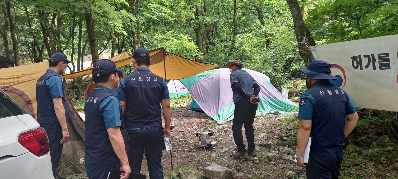 사진 제공 산림청