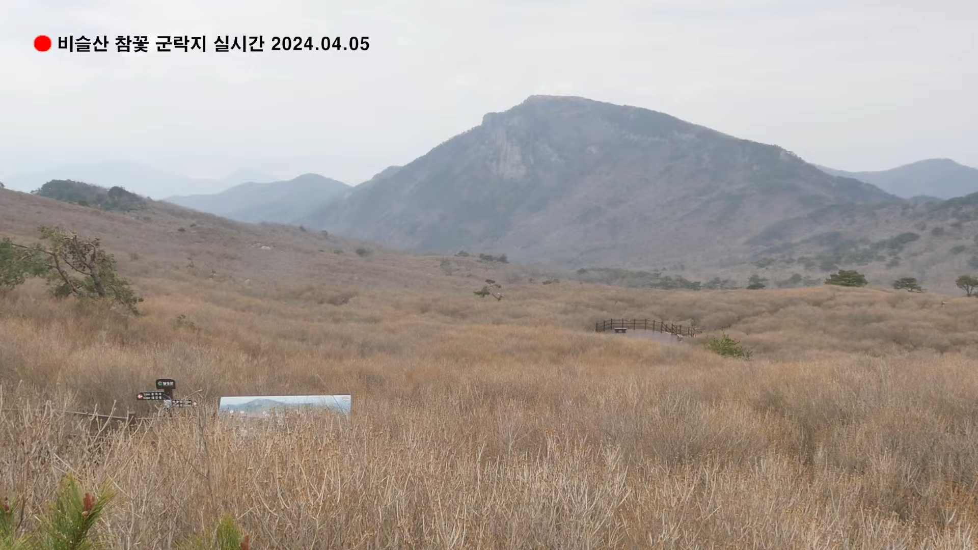 사진 제공 대구 달성군