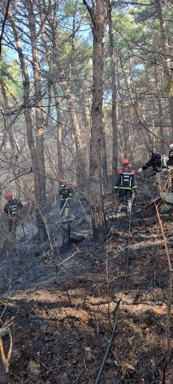 사진 제공 산림청