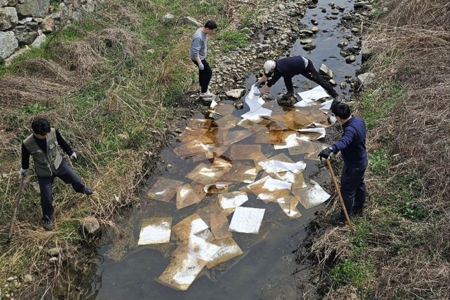 사진 제공 포항시