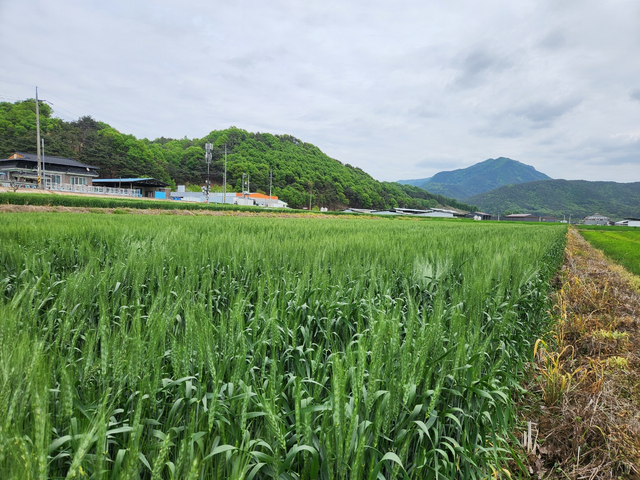사진 제공 구미시 기술개발과