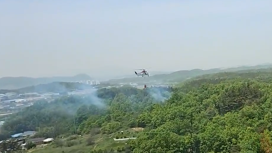 사진 제공 산림청