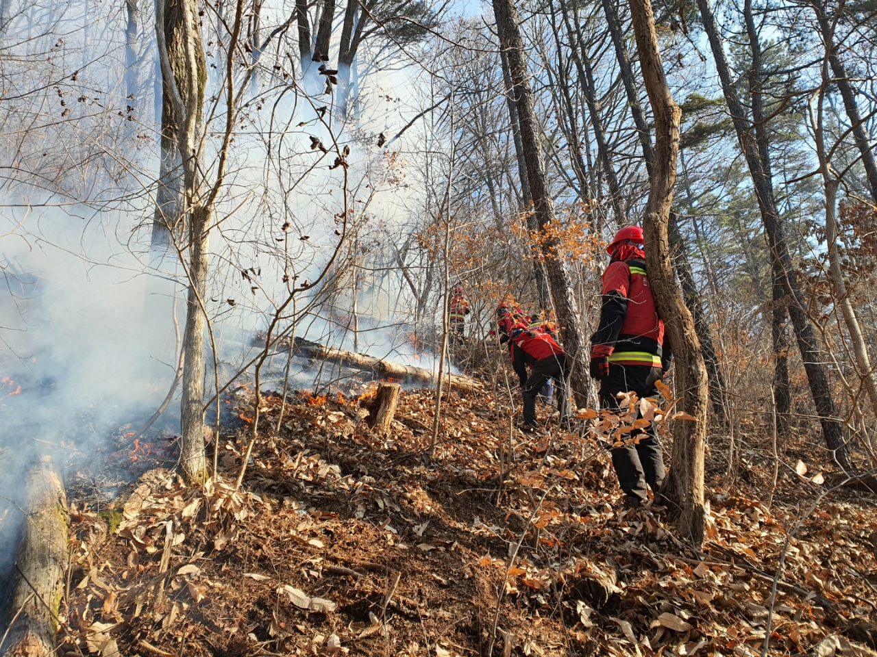 사진 제공 산림청