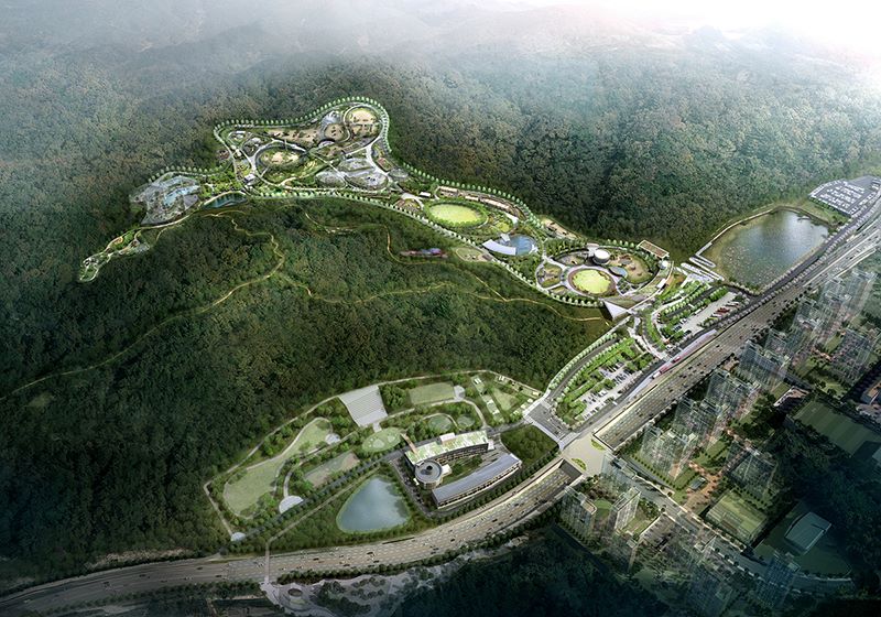 사진 제공 대구시