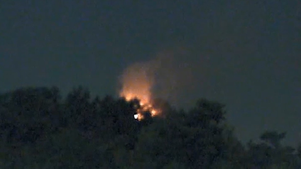 사진 제공 산림청