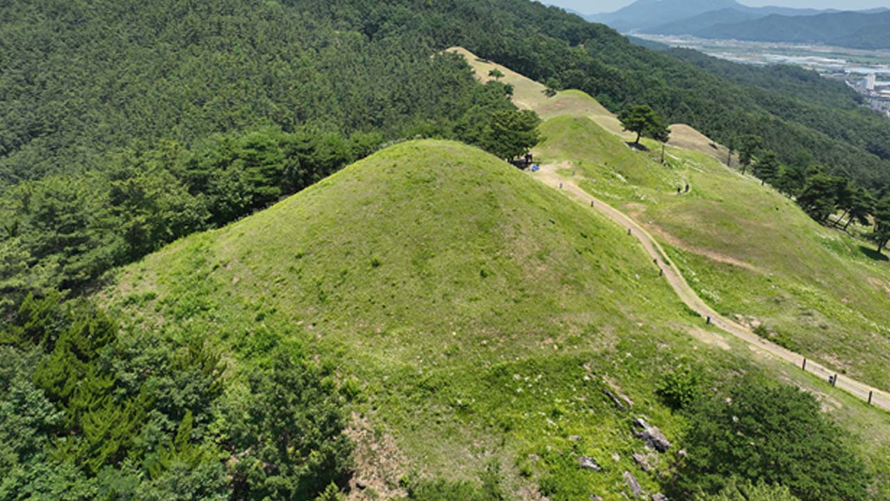 사진 제공 경북 고령군