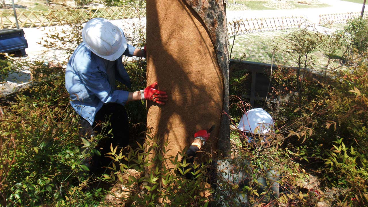 사진 제공 산림청