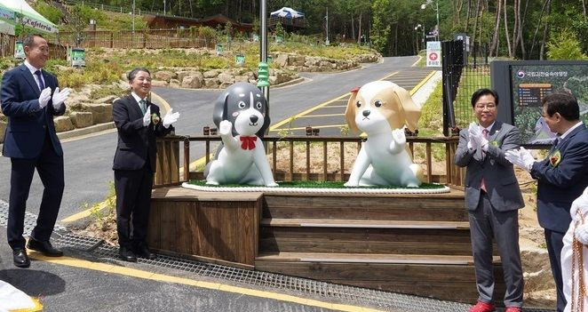 사진 제공 산림청