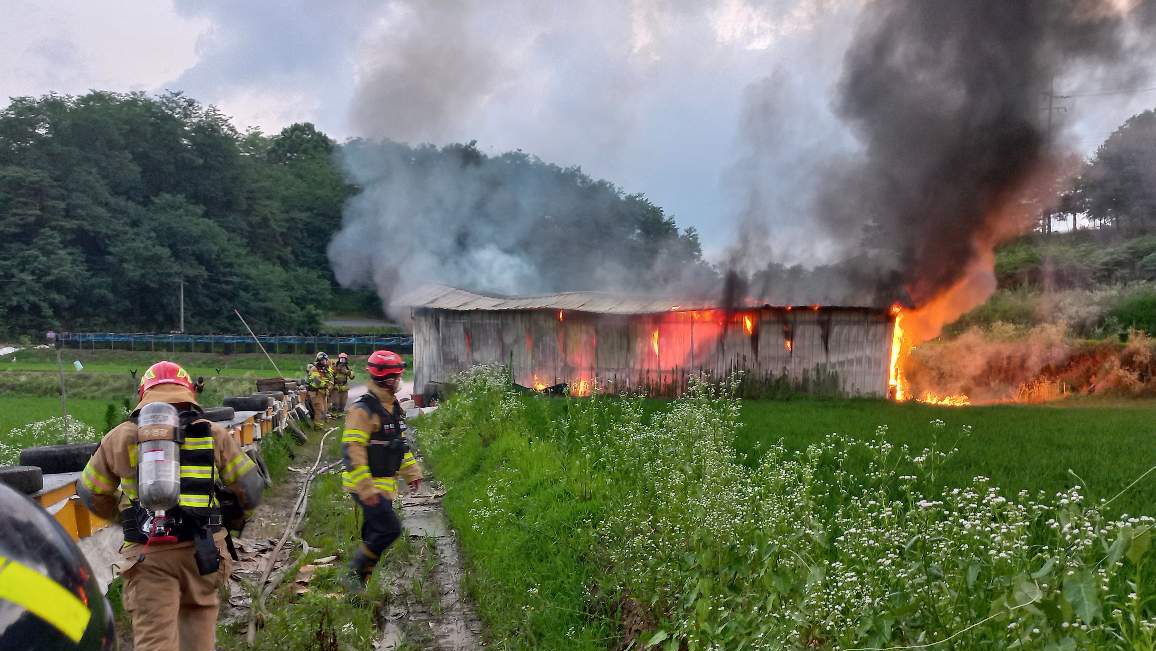 사진 제공 경북소방본부
