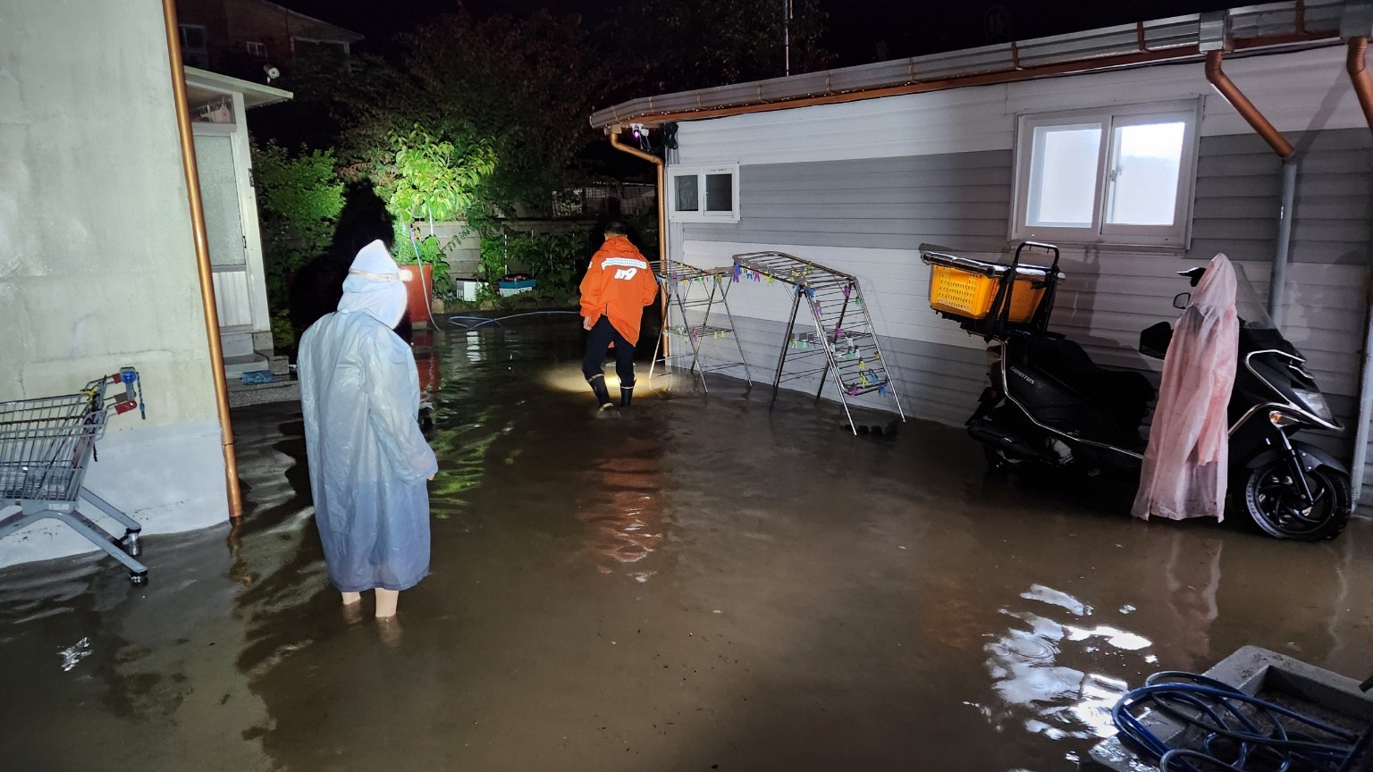 사진 제공 대구소방본부