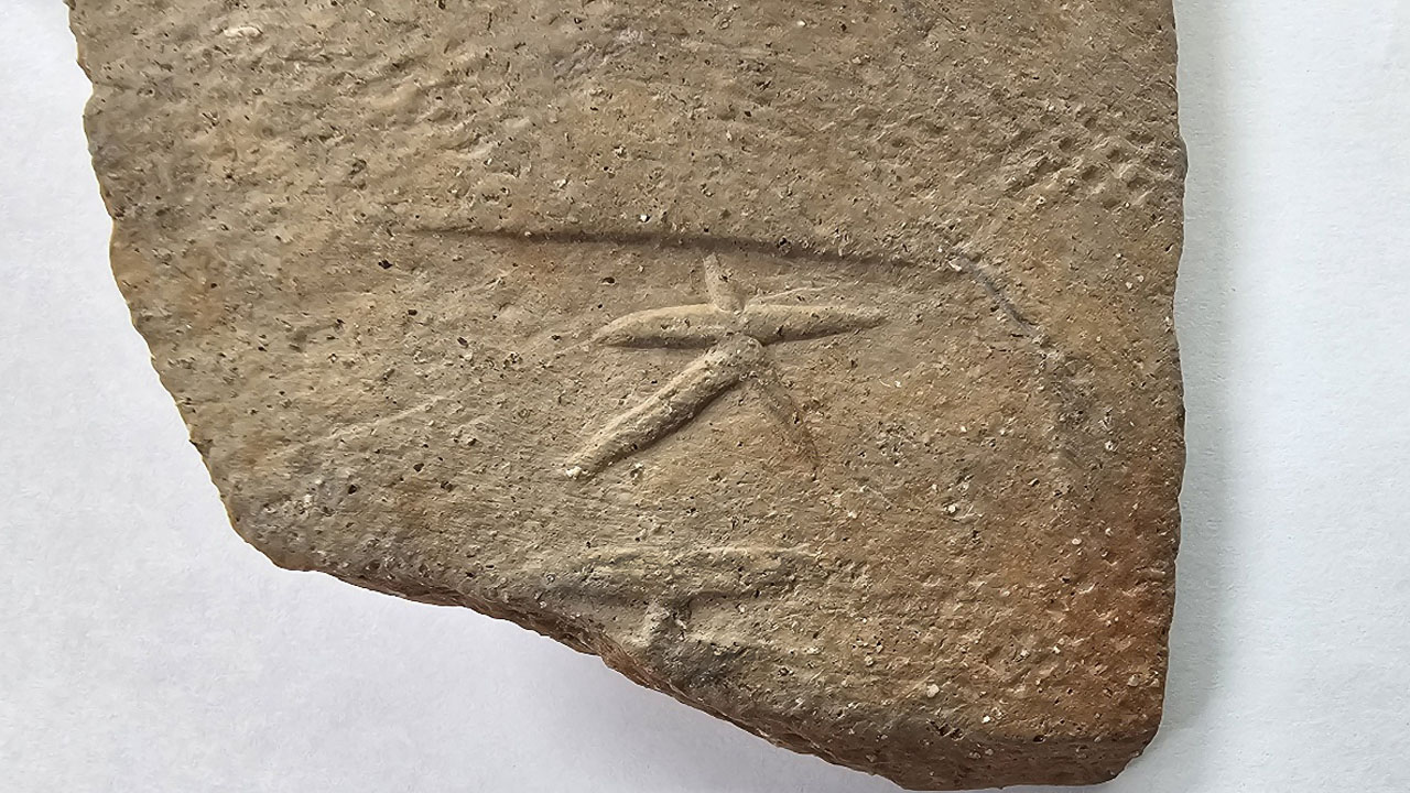 사진 제공 경북 고령군 