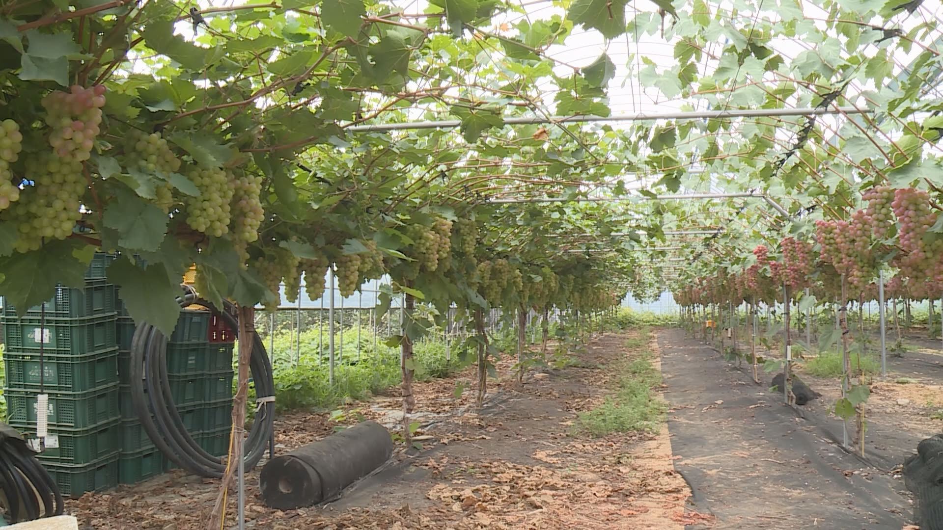 위 사진은 기사 내용과 관련이 없습니다.