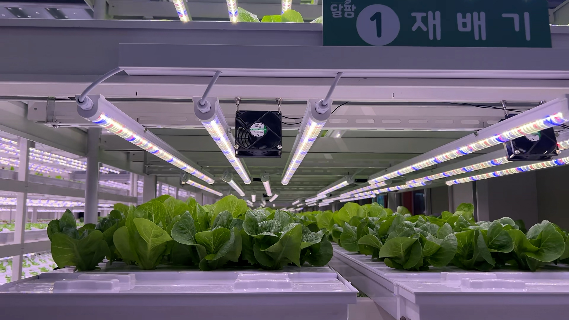 사진 제공 대구시 달서구