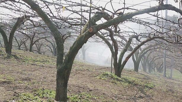 위 사진은 기사 내용과 관련이 없습니다.