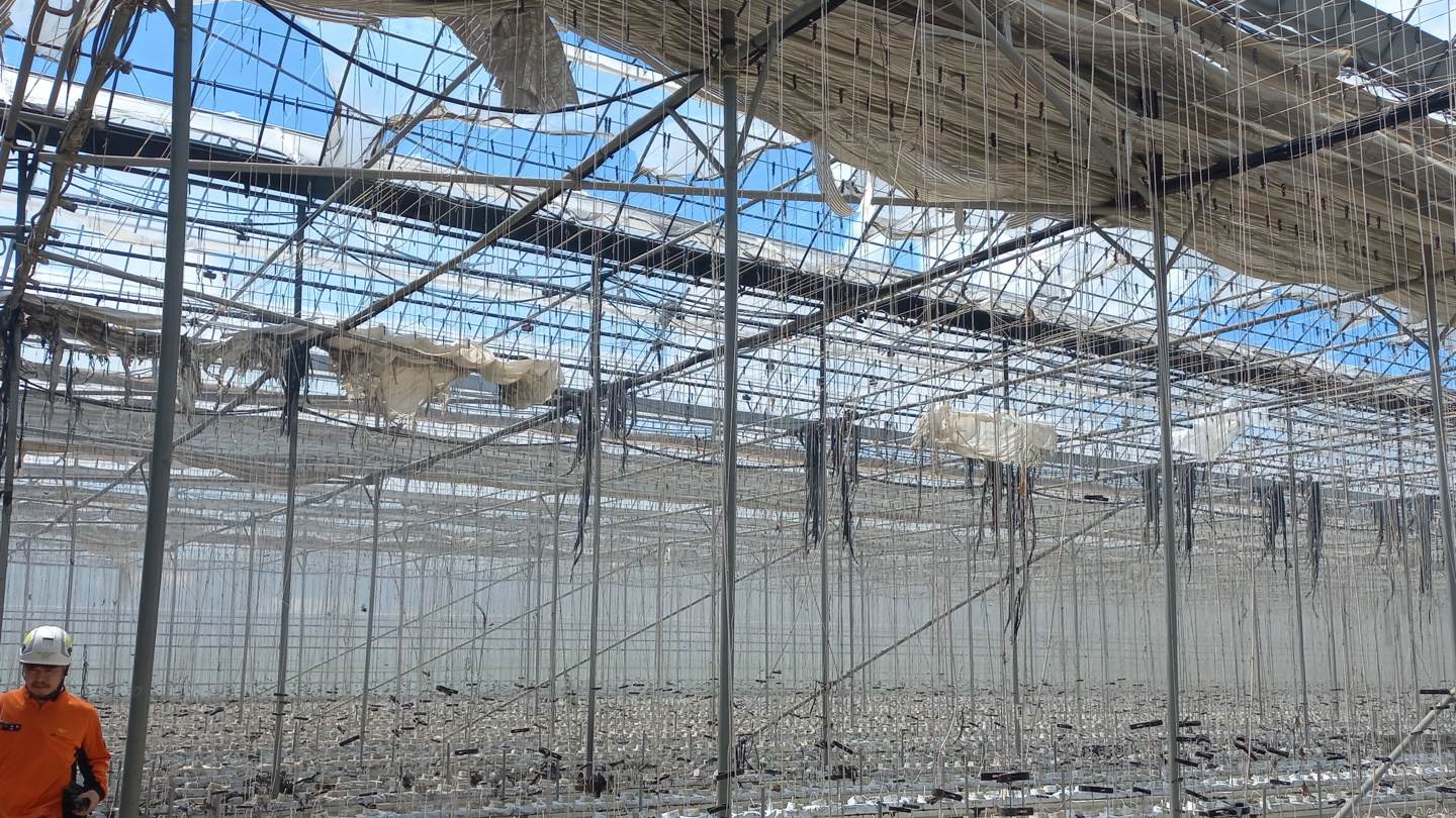 사진 제공 대구소방본부