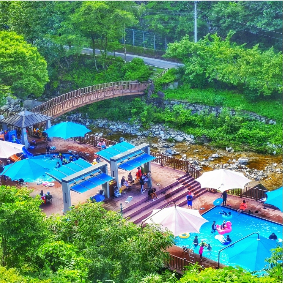 사진 제공 경상북도