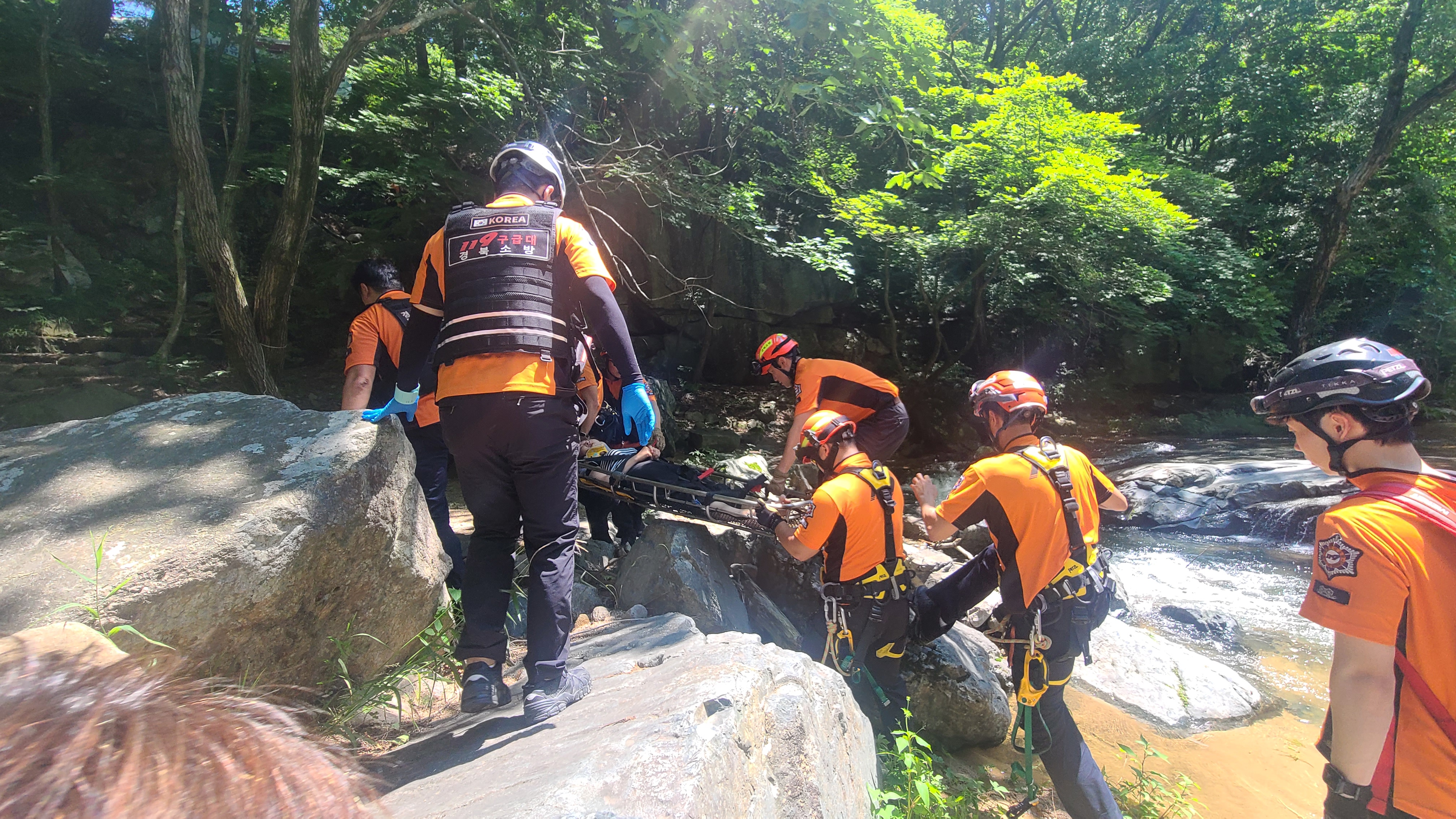 사진 제공 경북소방본부