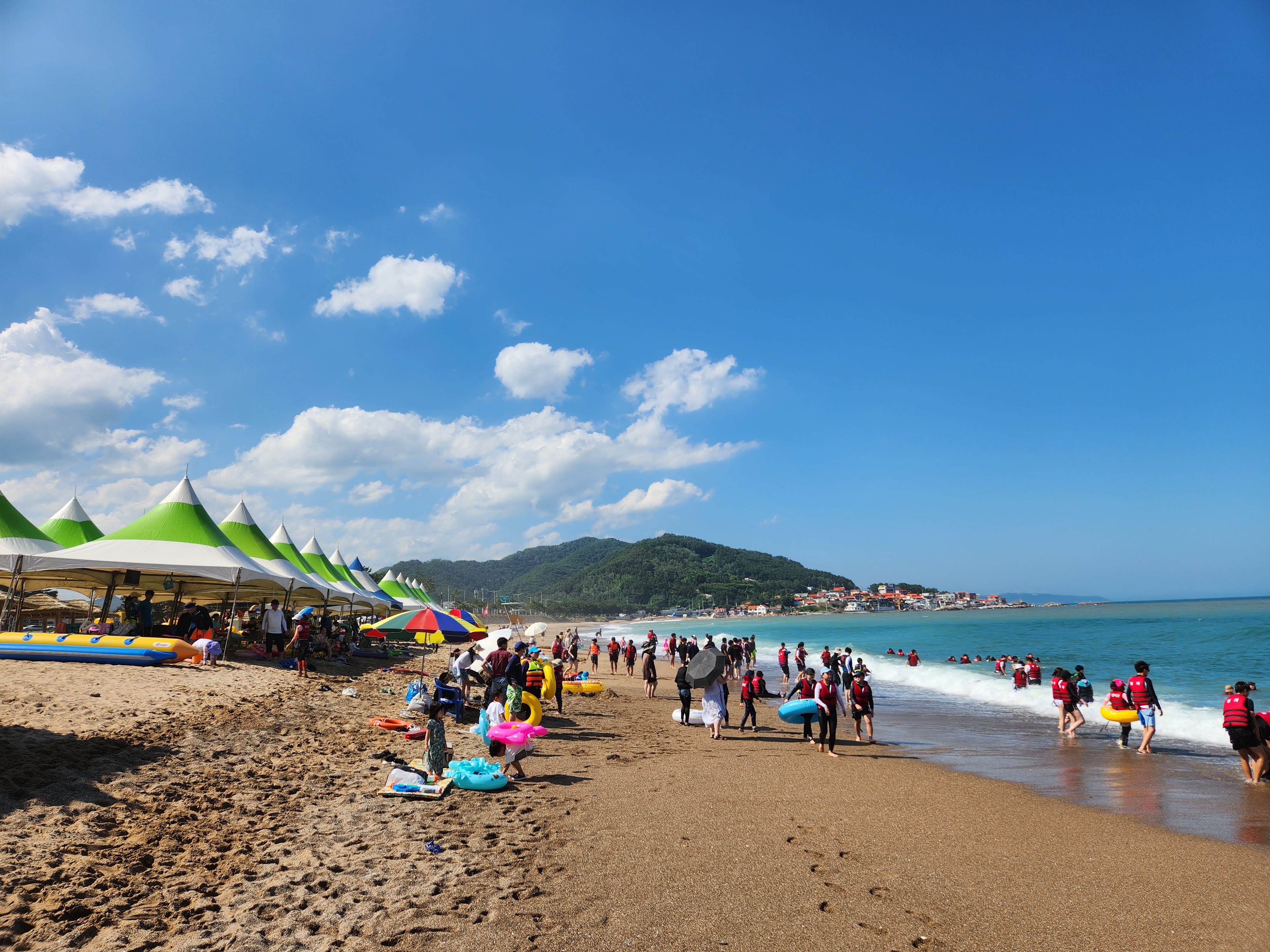 사진 제공 경상북도